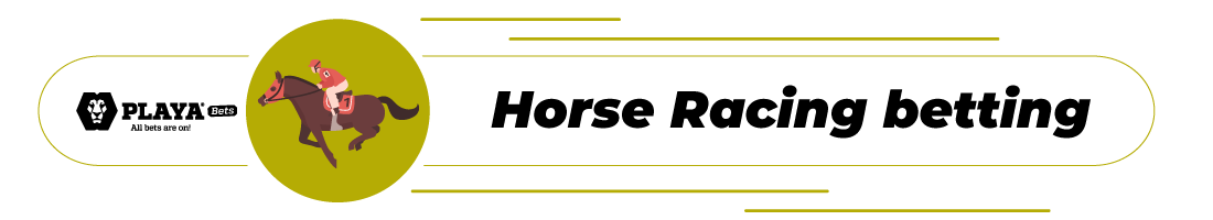 Horse Racing betting in playa bet