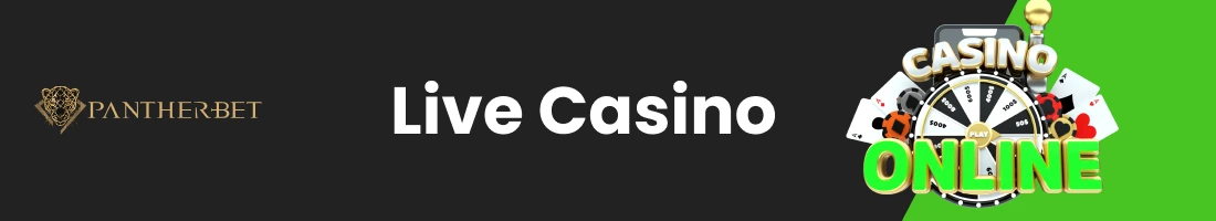 Live Casino section with games for casino platform users
